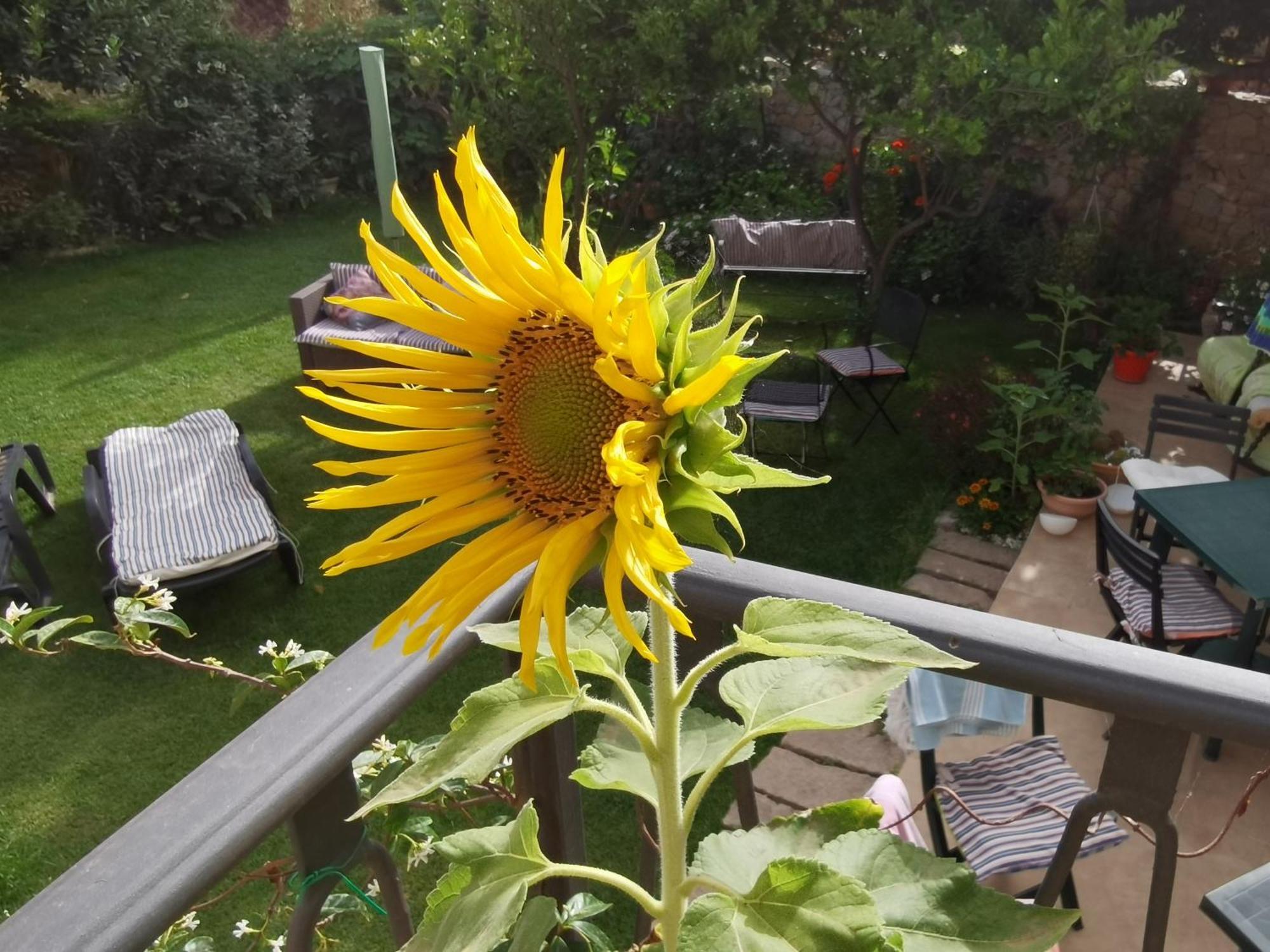 Il Giardino Di Tatiana Rooms & Breakfast Λα Μανταλένα Δωμάτιο φωτογραφία