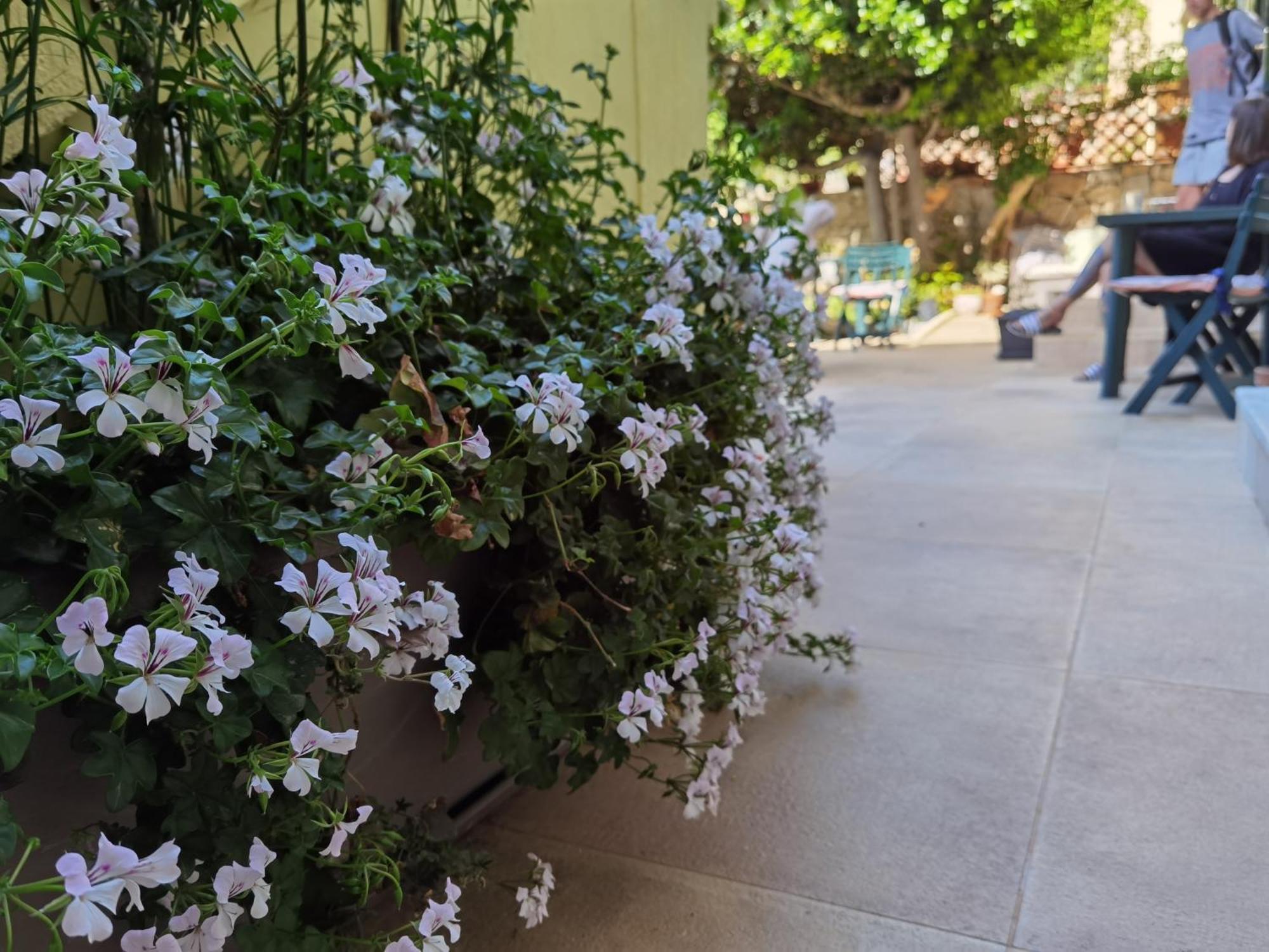 Il Giardino Di Tatiana Rooms & Breakfast Λα Μανταλένα Δωμάτιο φωτογραφία